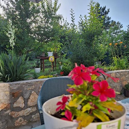 Villa Ella Οχρίδα Εξωτερικό φωτογραφία