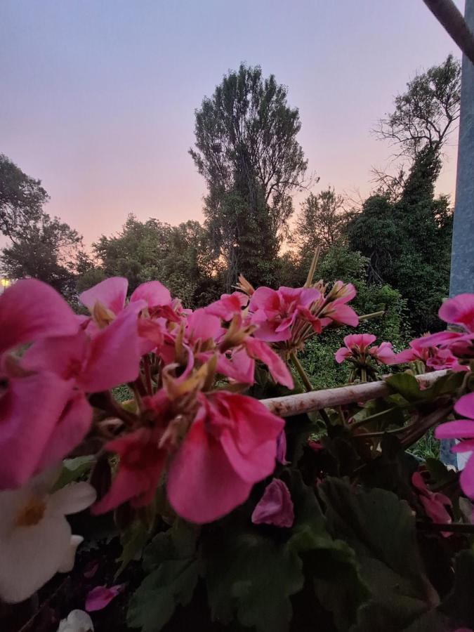 Villa Ella Οχρίδα Εξωτερικό φωτογραφία