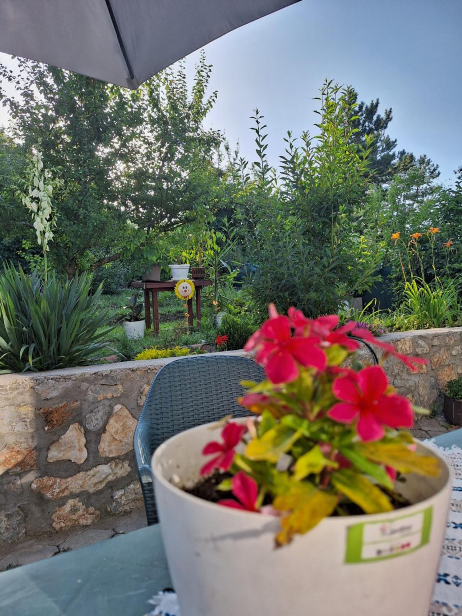Villa Ella Οχρίδα Εξωτερικό φωτογραφία